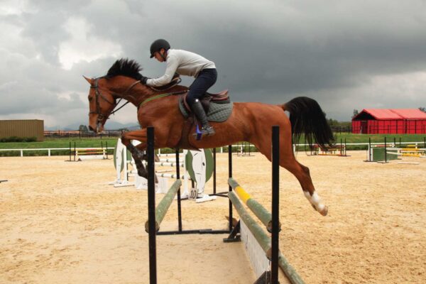 pista-de-salto5 pista-de-salto5